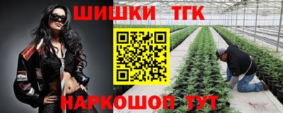 гидра Будённовск