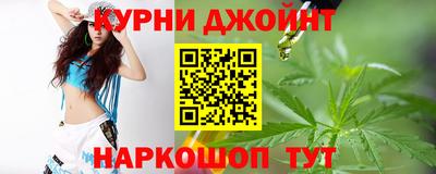 гидра Будённовск