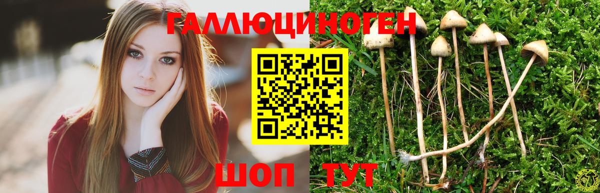 Галлюциногенные грибы мицелий  Вход с VPN  Россия 